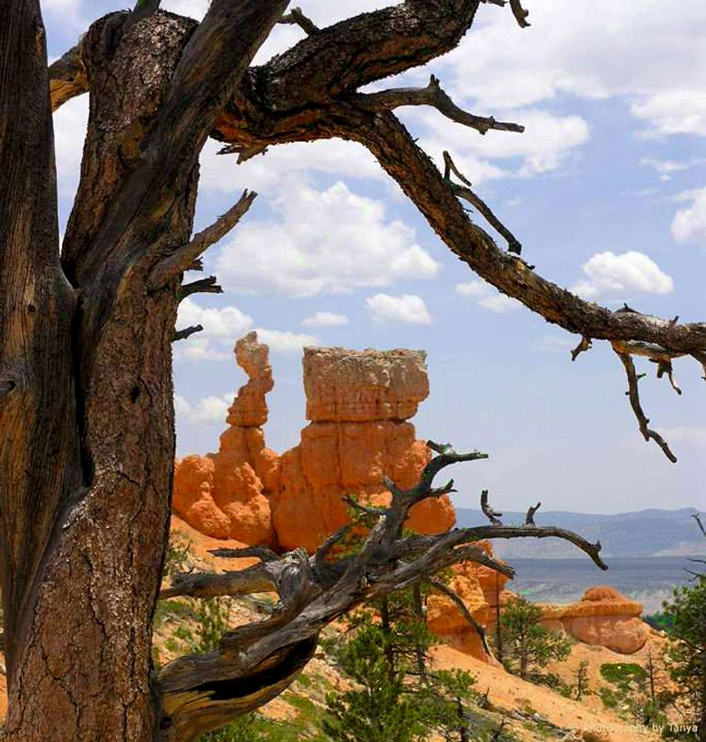 Bryce Canyon