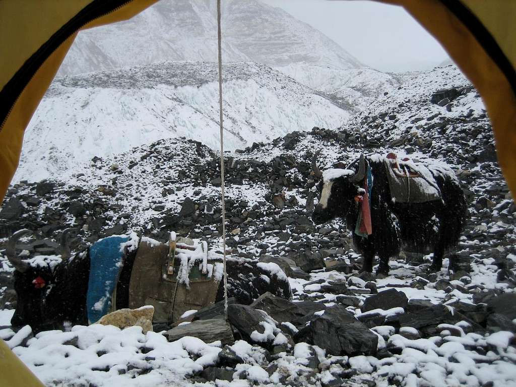 Mt. Everest Interim Camp