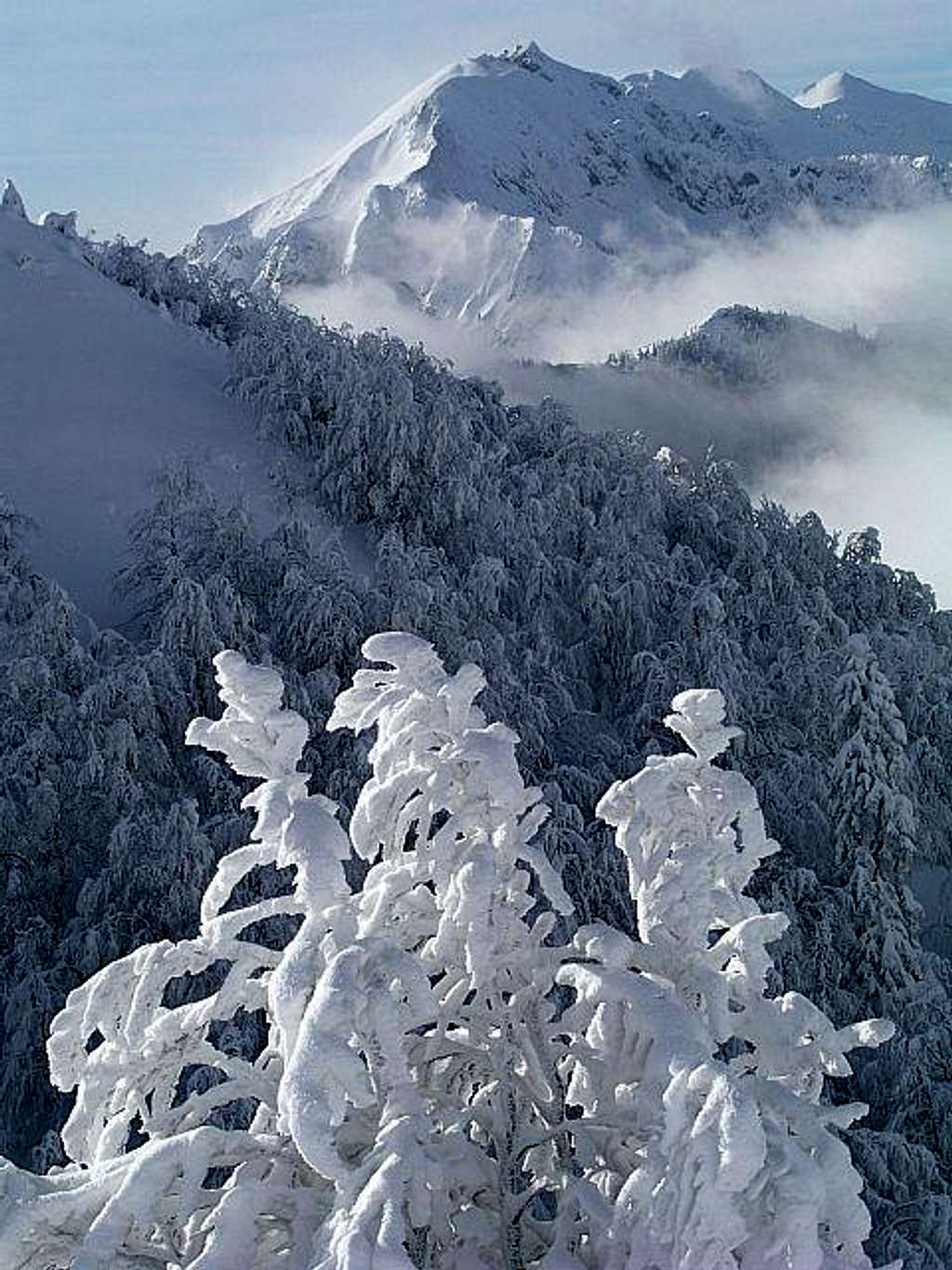 Hard winter on South Bohinj...