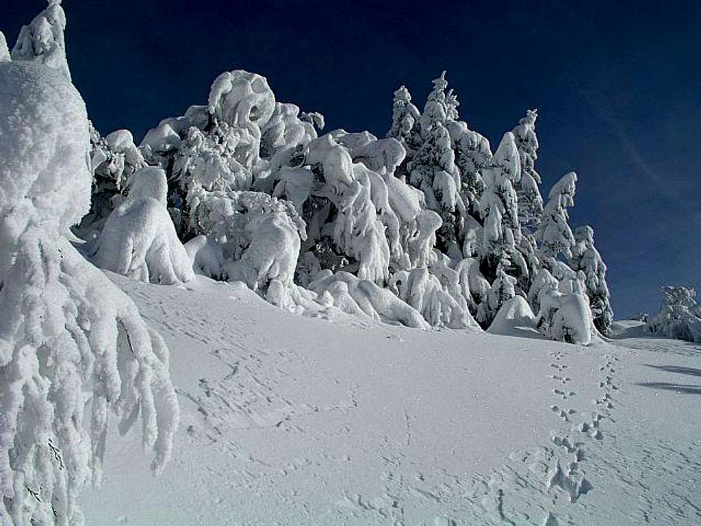 Snow sculptures below Mozic,...