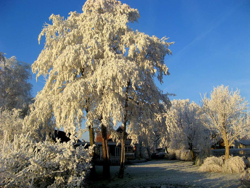 Holland's Winter Scenery