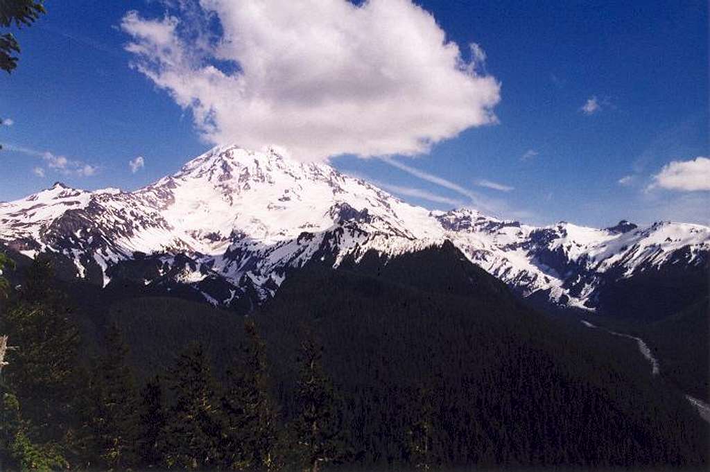 Mt. Rainier from the...
