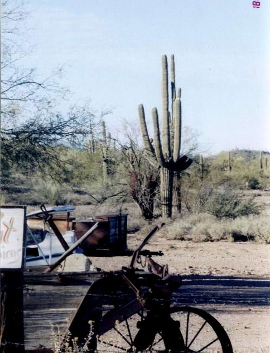Giant Saguaro and...