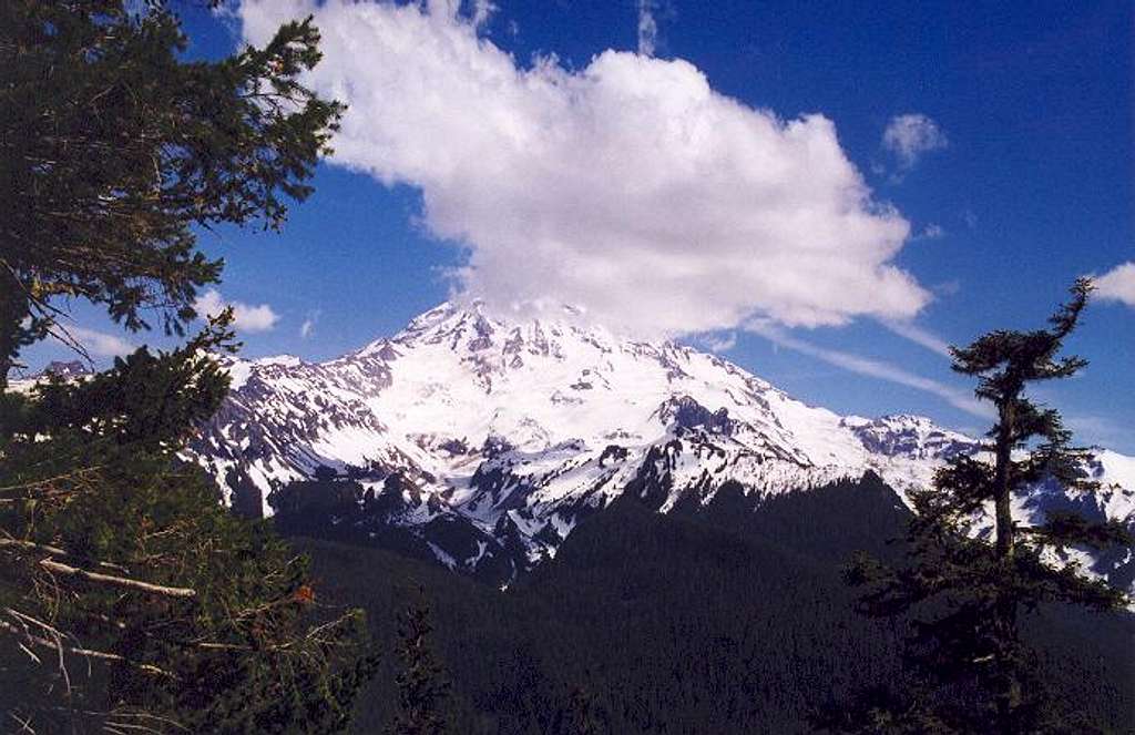 Mt. Rainier from the NW (from...