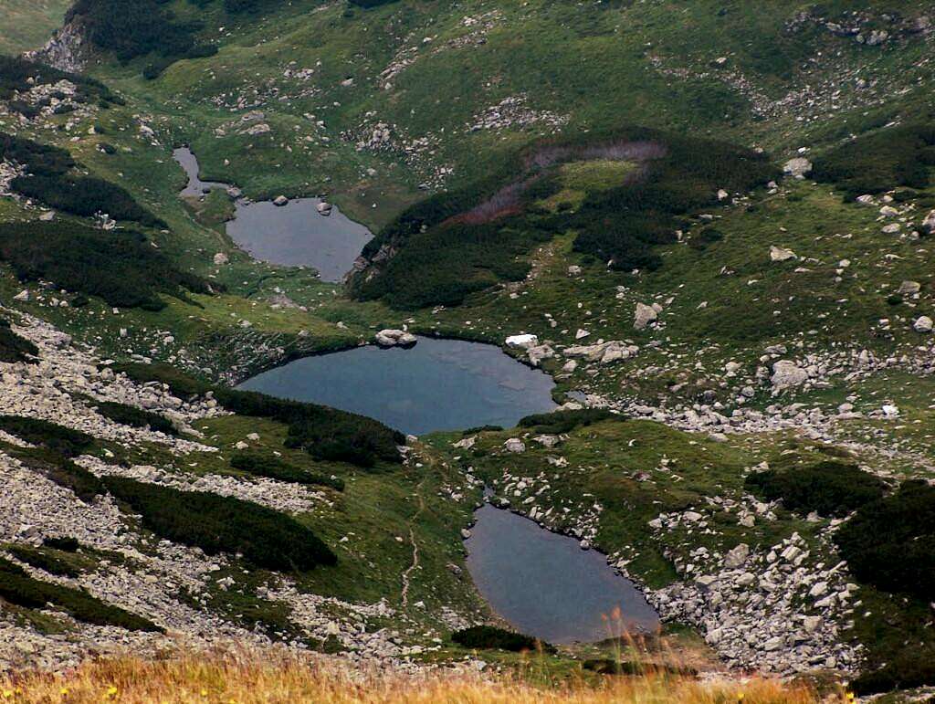 Buhaescu lakes