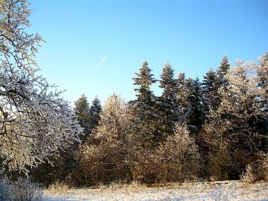 Sunny winter day in the Low Beskid
