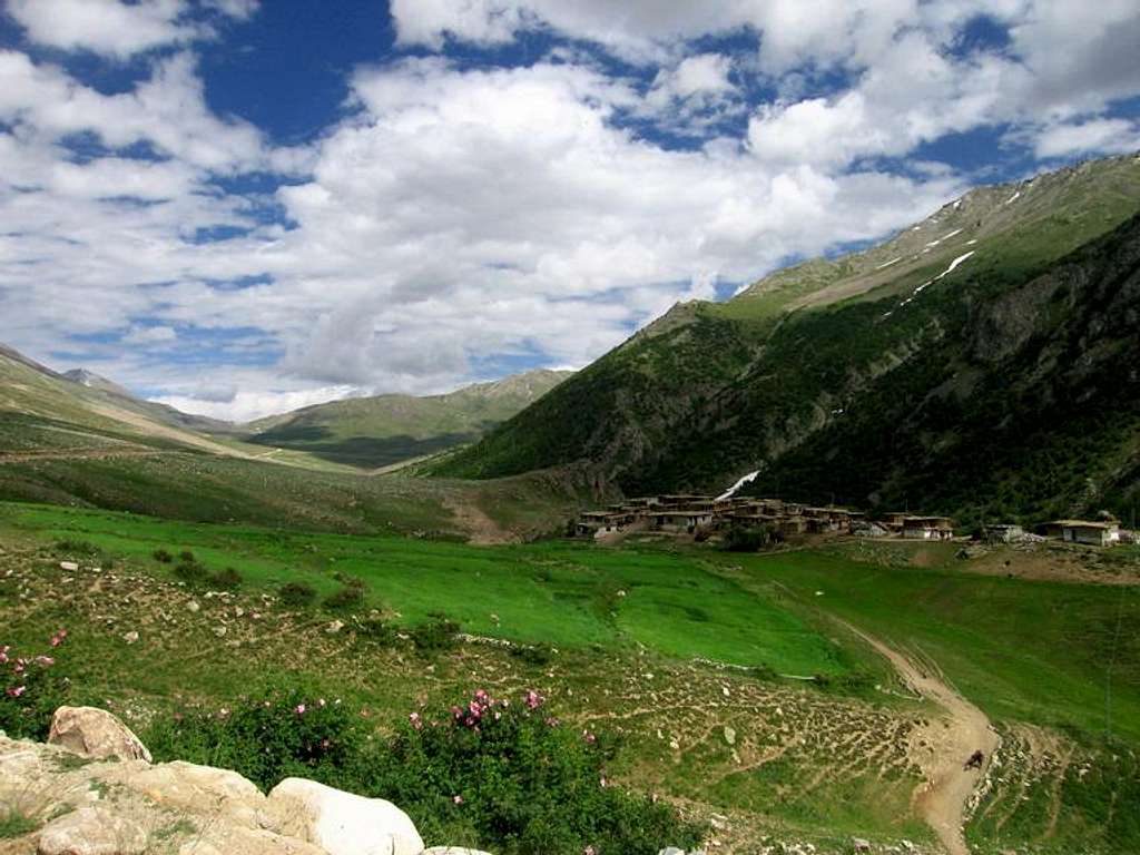 A Green Village of North Pakistan