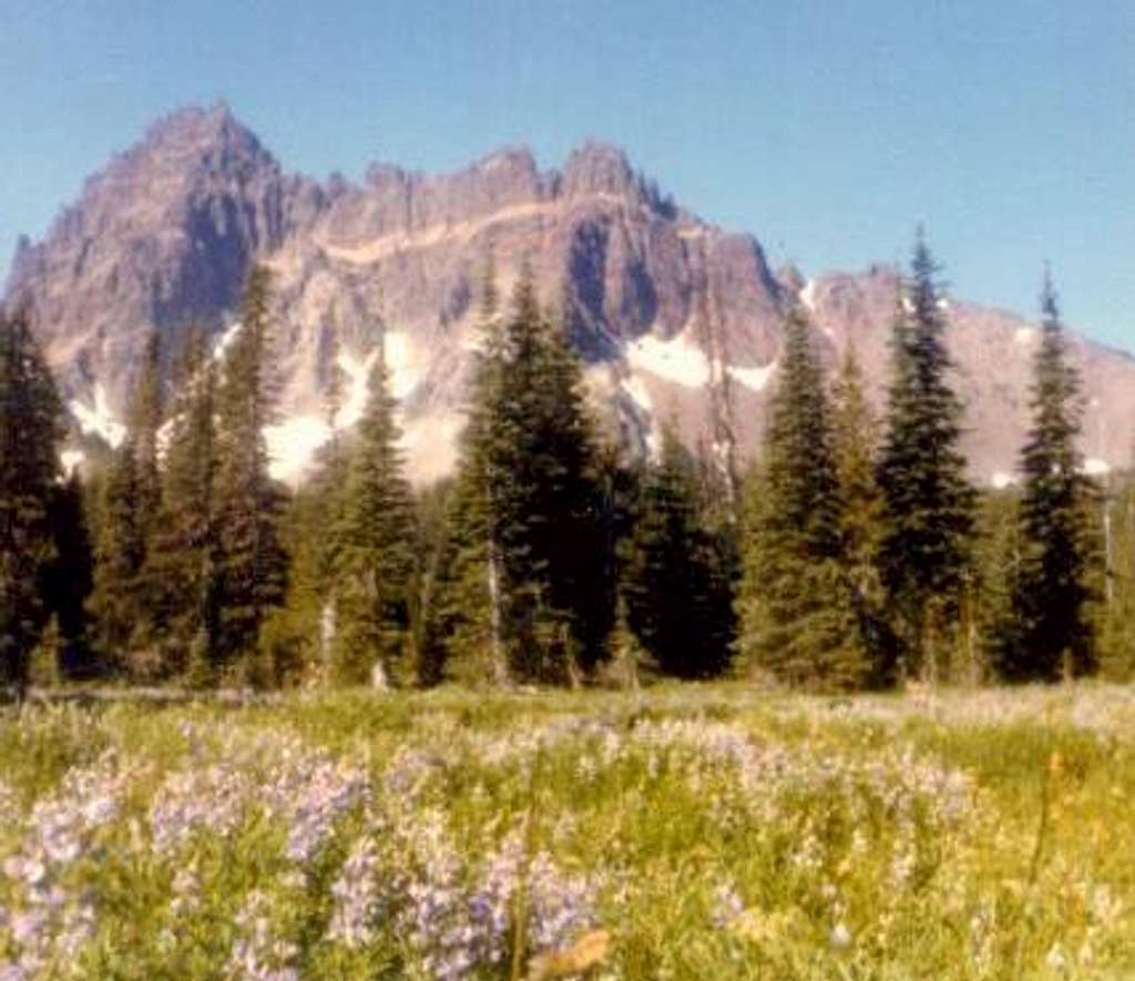 Three Fingered Jack from...
