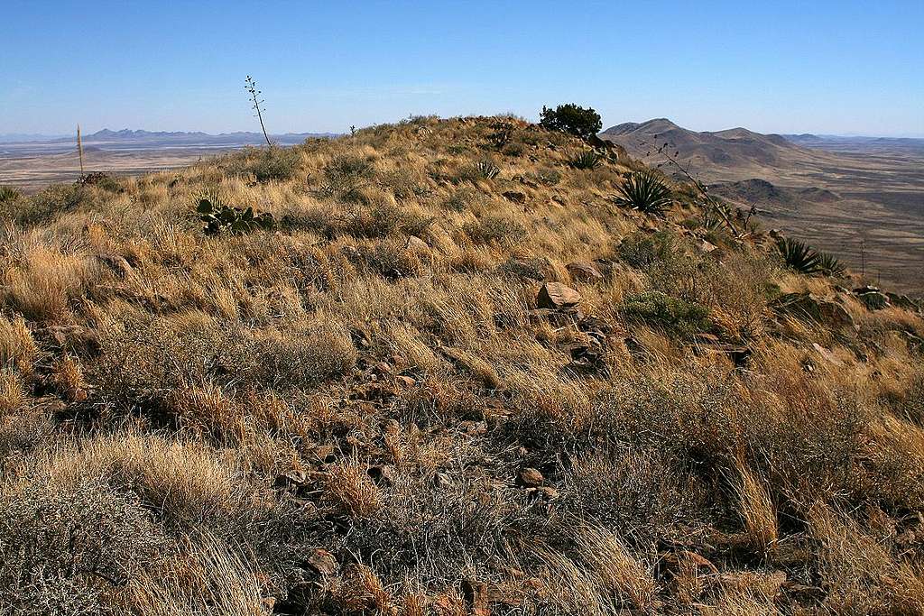 Cedar Mountain summit