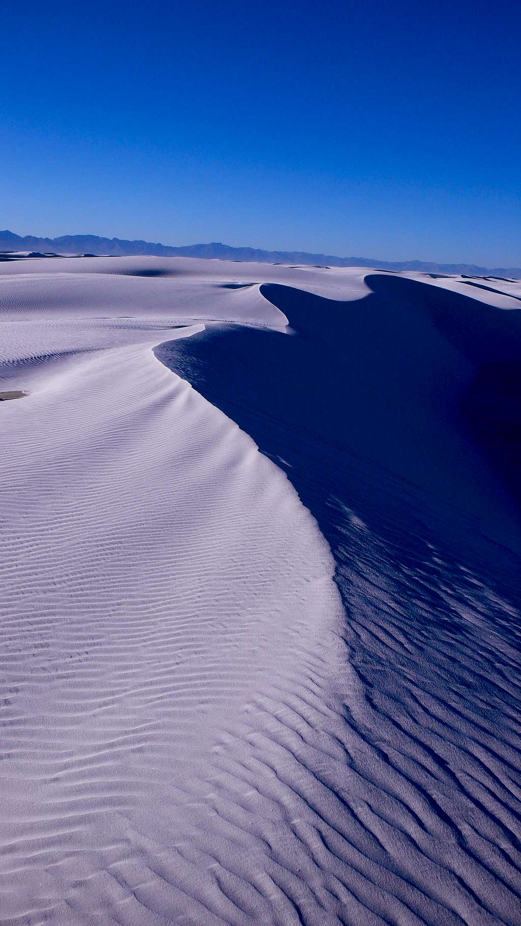 Ridge on a white sand dune