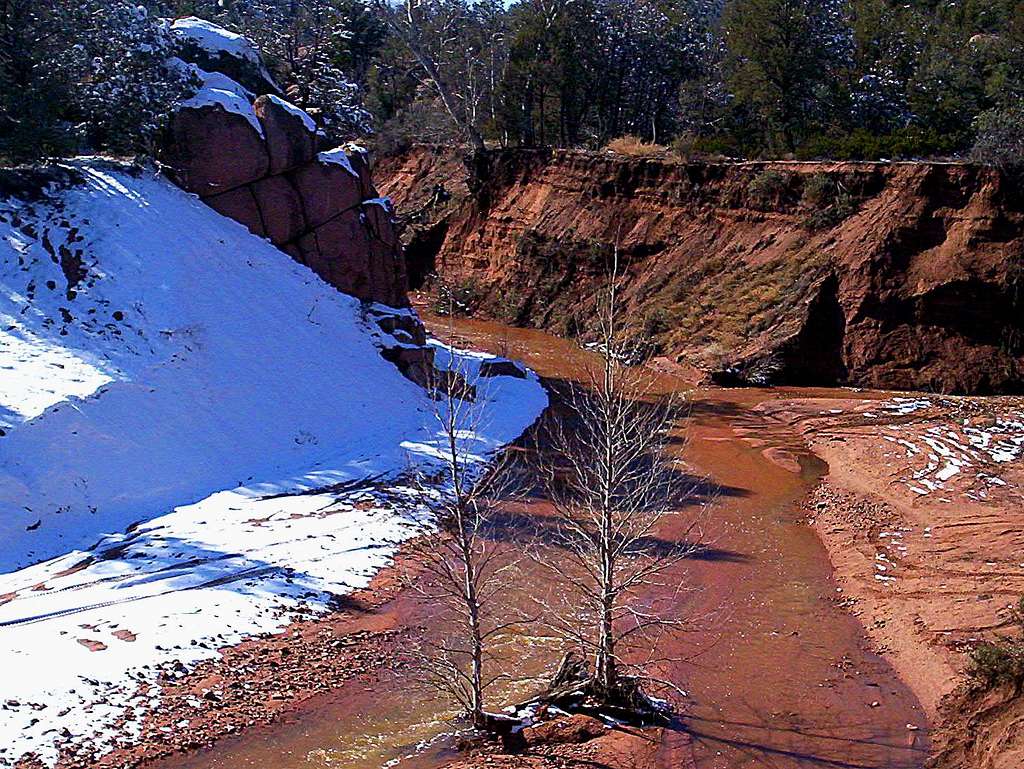 Lower Stewart Creek