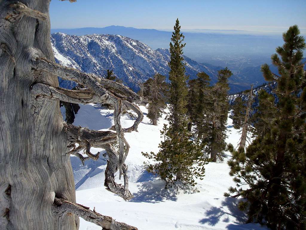 Mount Baldy Feb. 9th 2008