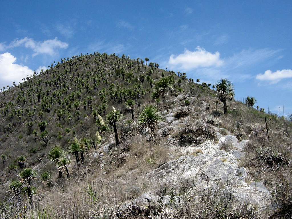 Beginning of the route up to Cerro de los Jarros