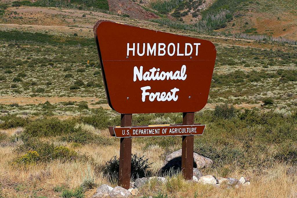Humboldt National Forest