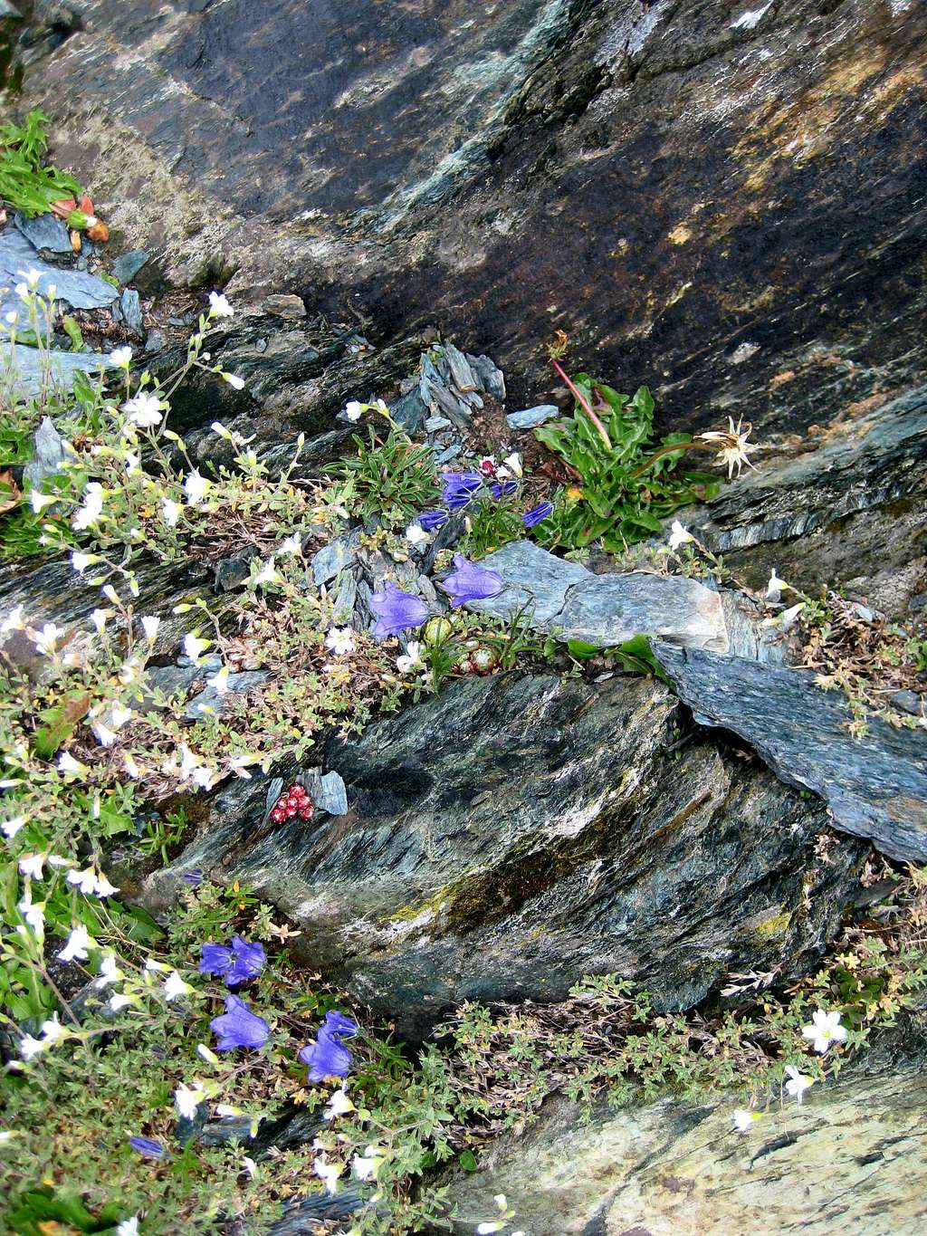 Rocks near the Riffelsee