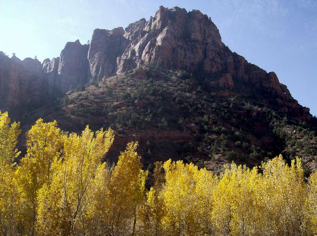 Fall colors in Kolob