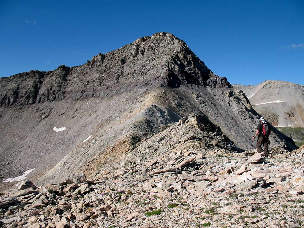 Trico Peak from the north