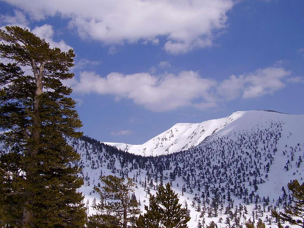Jepson Peak