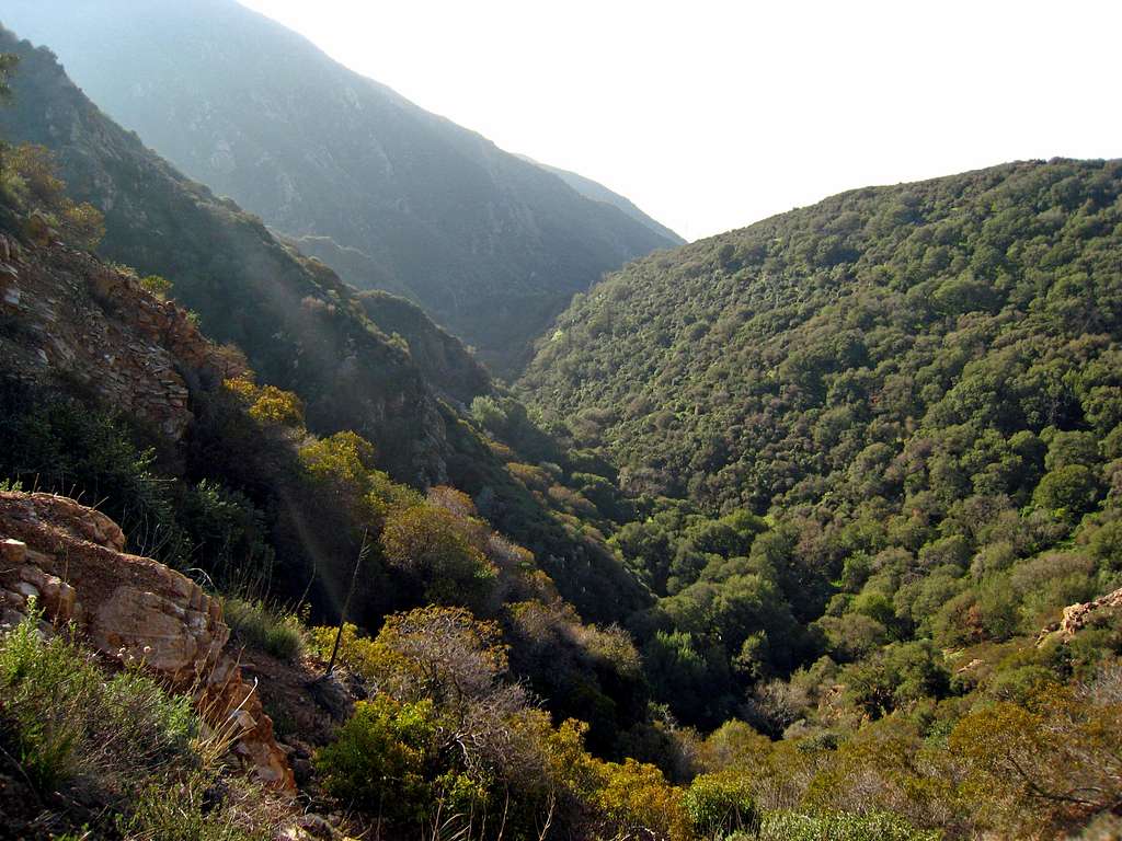 Rubio Canyon