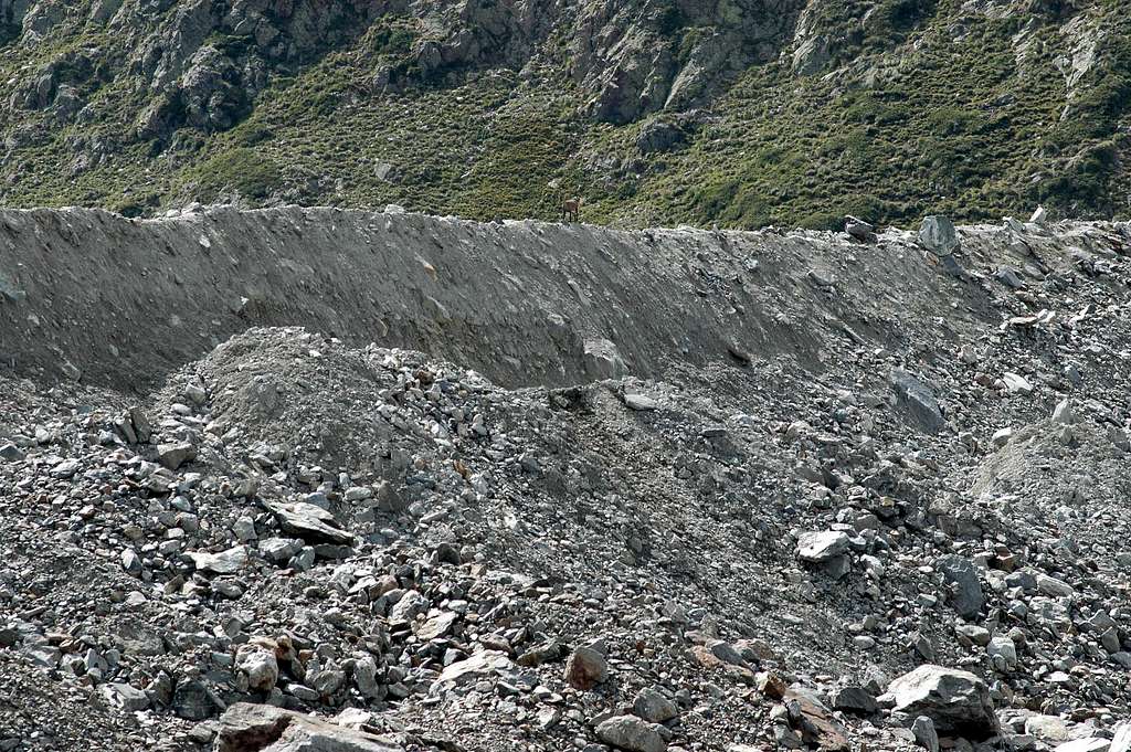 Miage Glacier Moraine