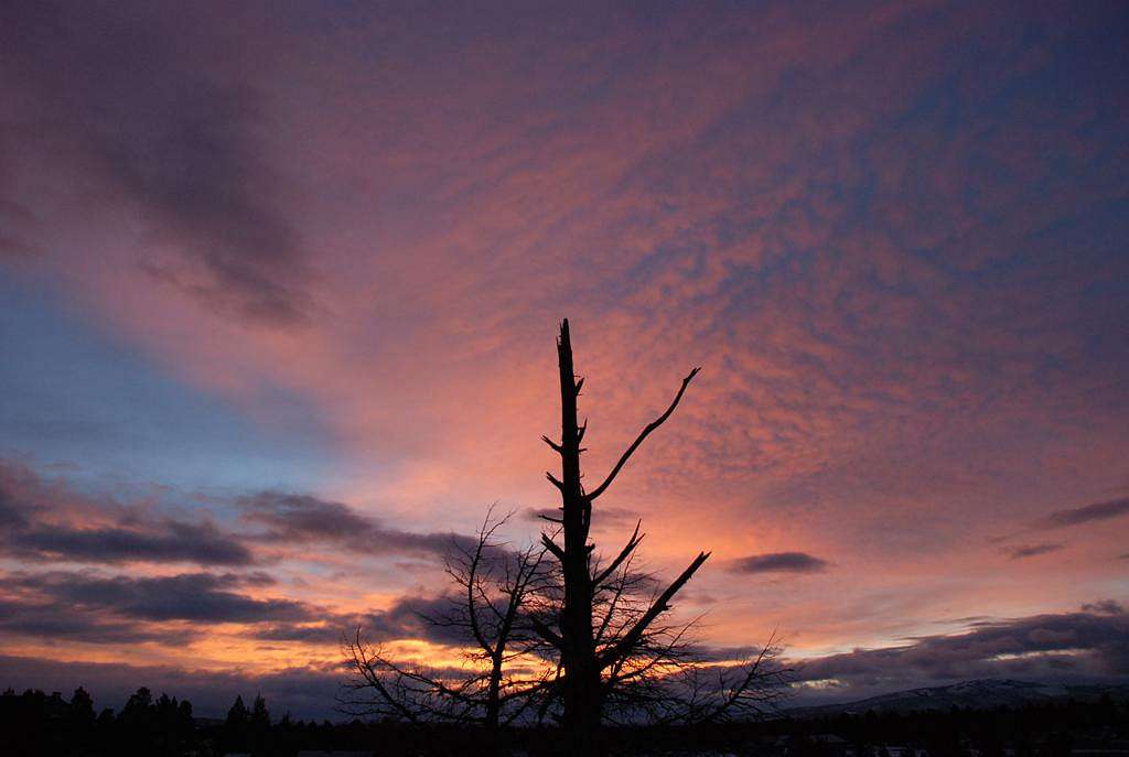 Central Oregon Sunrise