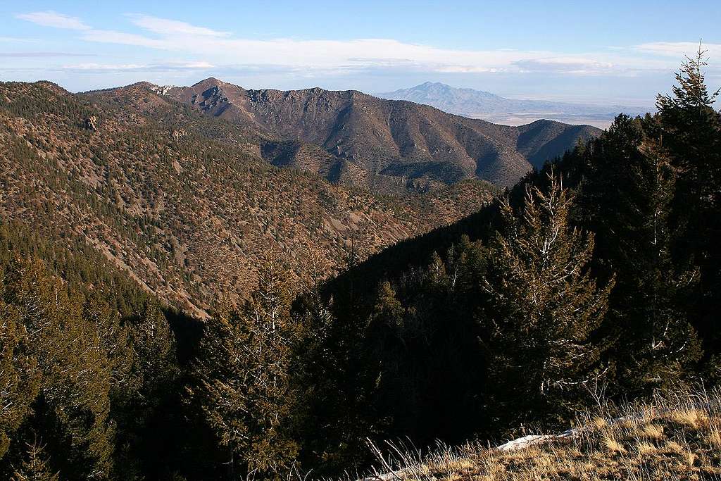 Copper Canyon view in the Magdalena Mountains