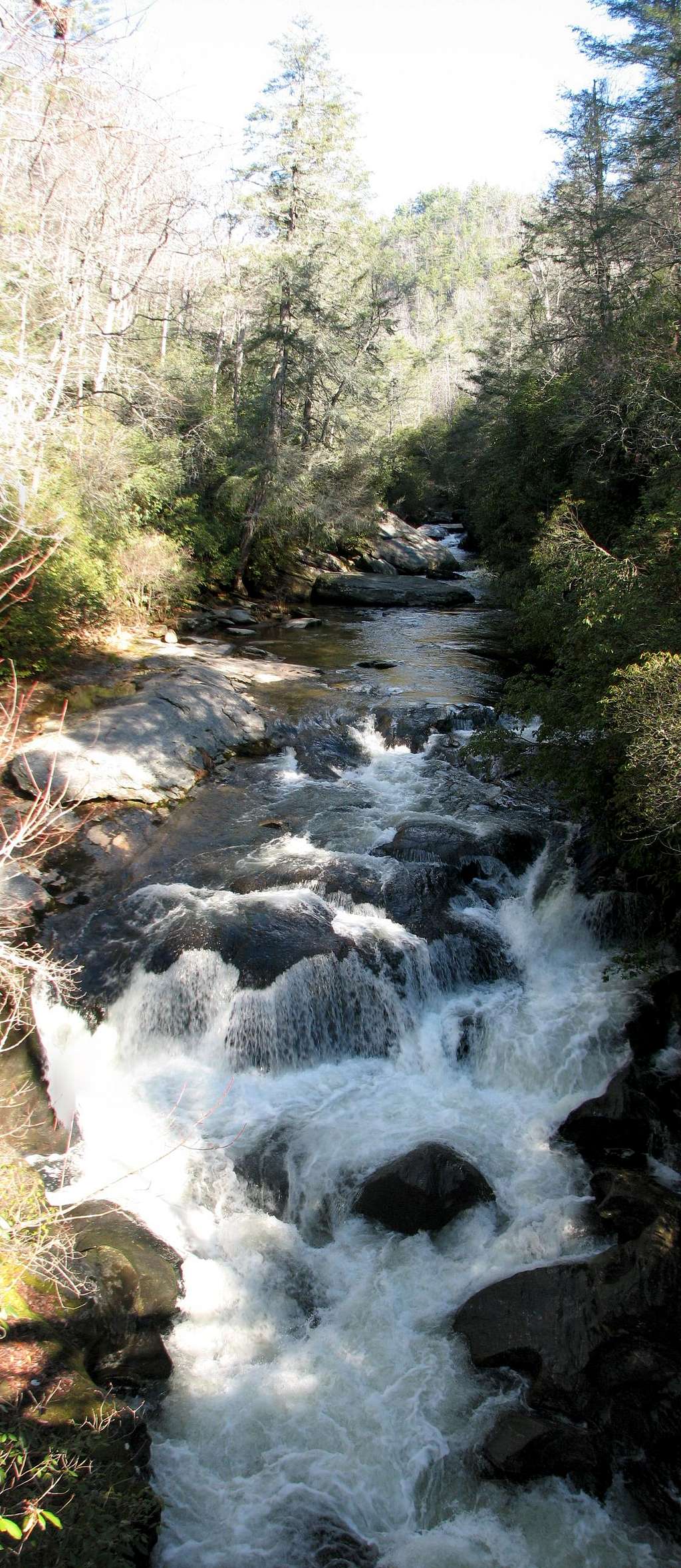 The Chattooga