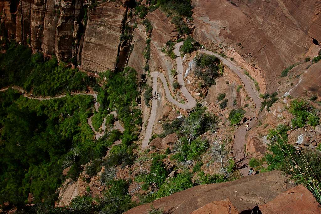 Trail up to Angels Landing