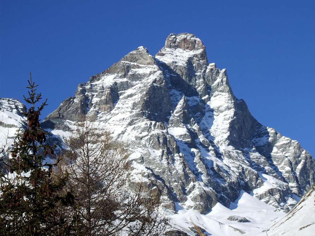 Pic Tyndall and Matterhorn