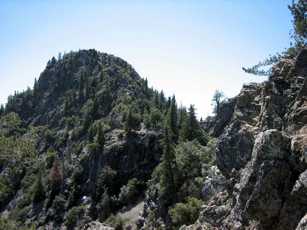 Cone Peak from North Ridge