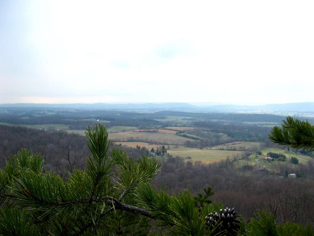 View from White Rocks