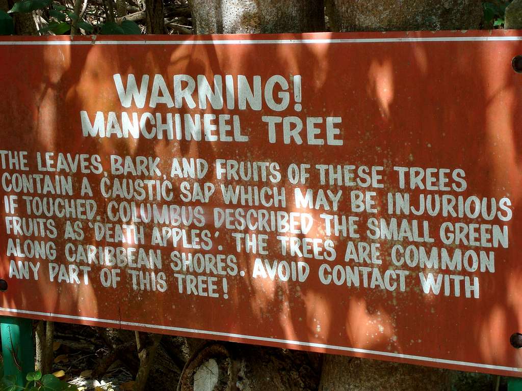 Manchineel Tree Warning