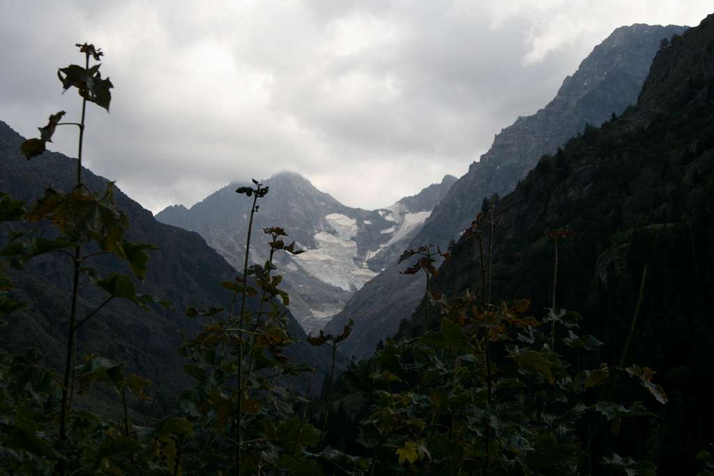 Glacier des Sellettes