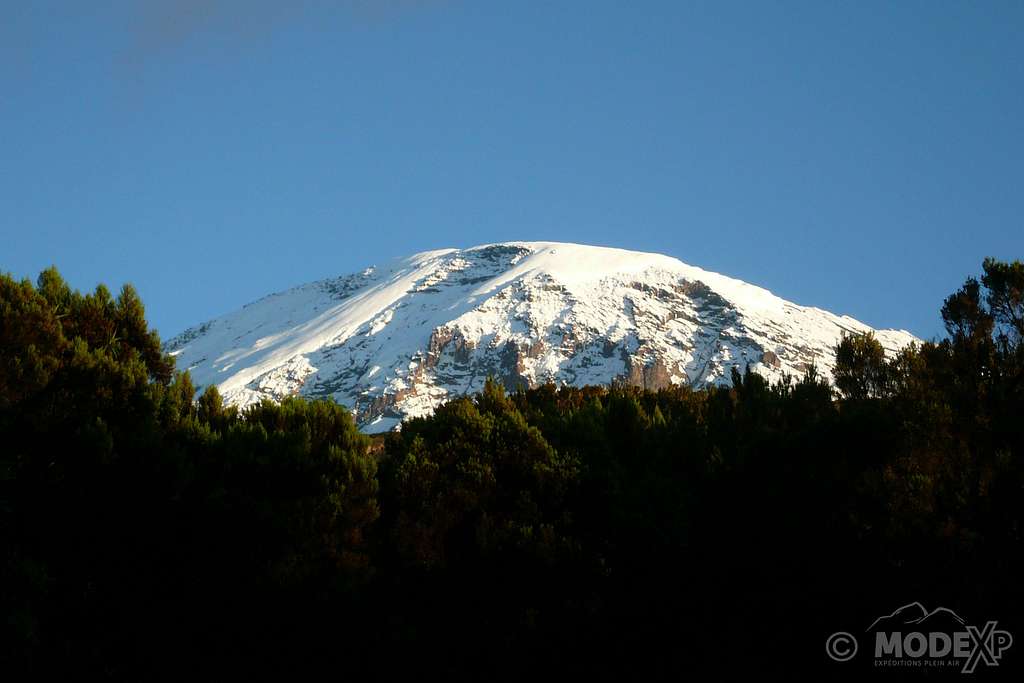 Kilimanjaro (Mweka Hut)