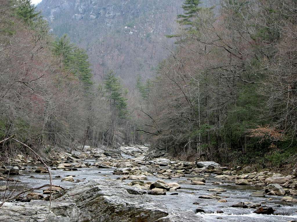 Along the Linville River