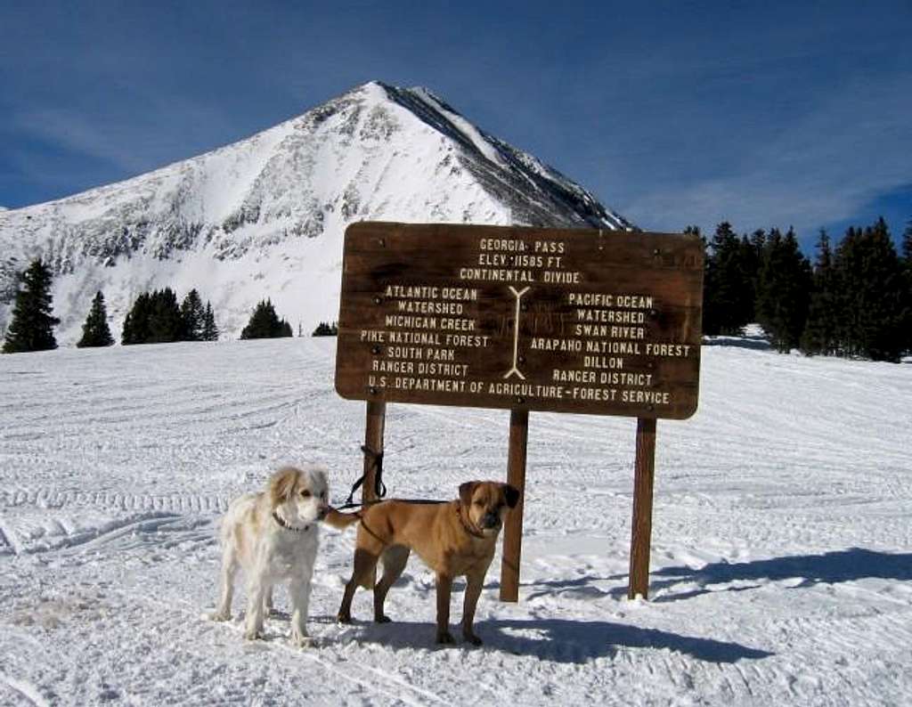 My dogs Ray and Sopris at the...