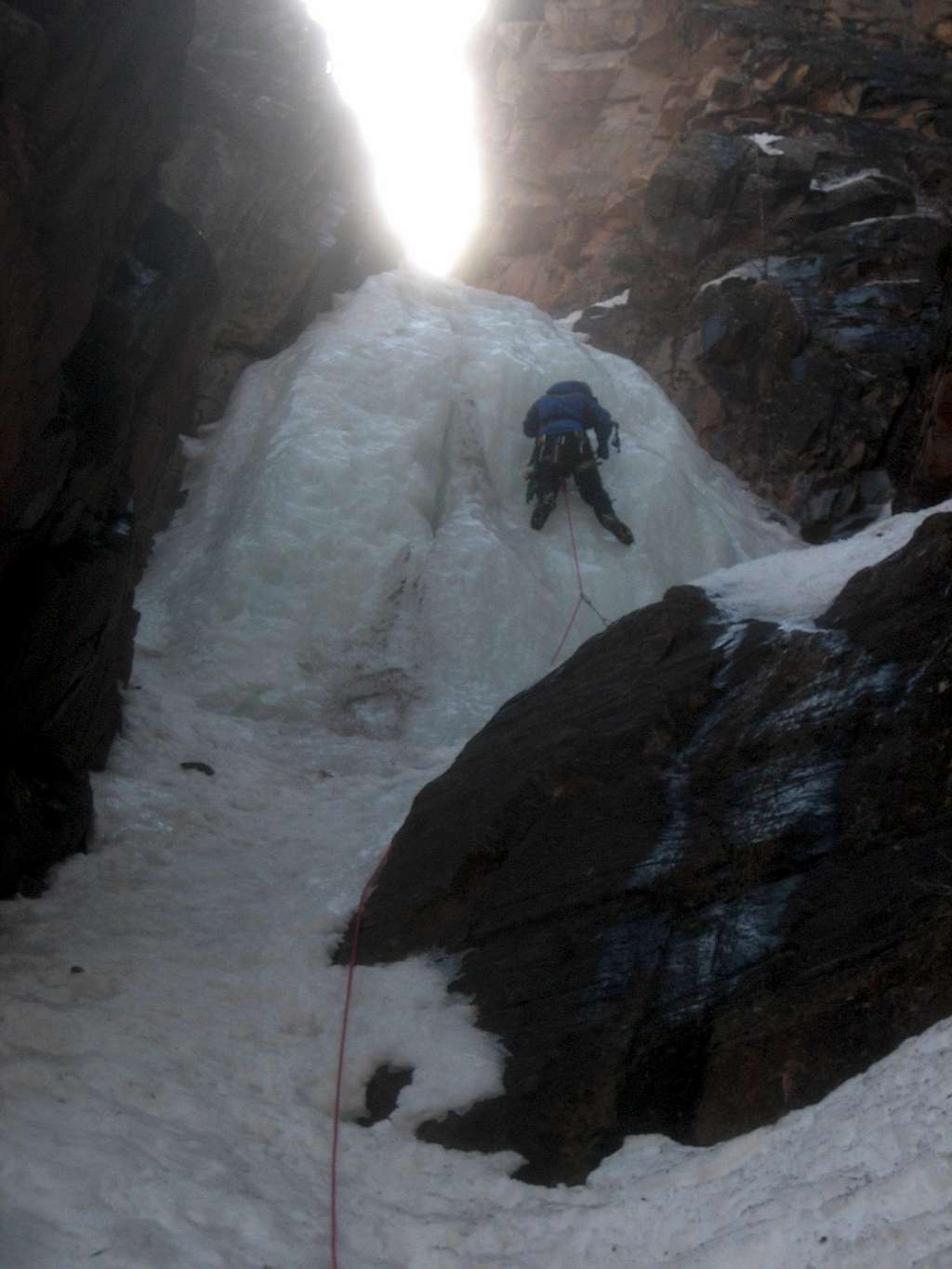 Avocado Gully P3