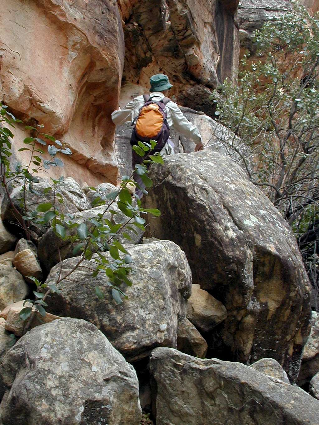 Fern Creek Canyon