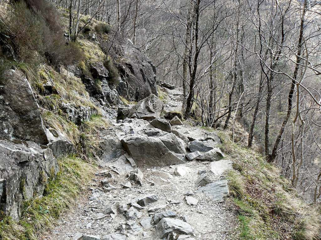 A section of the path.