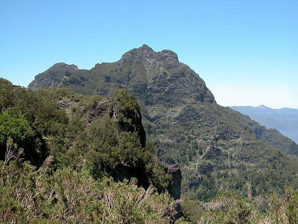 Pico Casado (1725m), May 2003