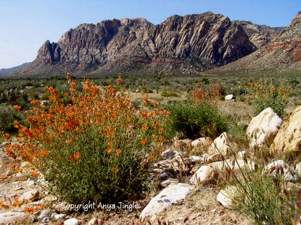 Sandstone Mountain and The Monument