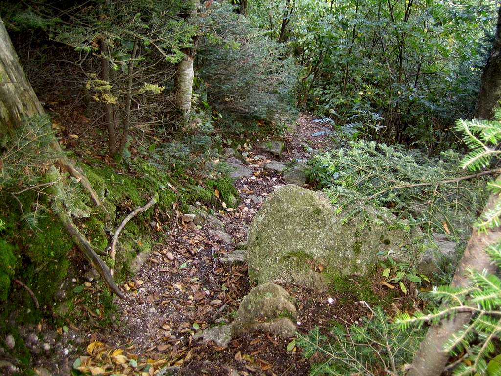 trail heading down