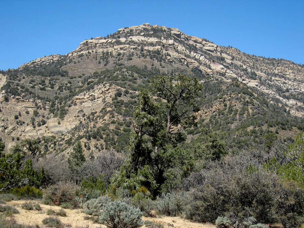 Eagle Rest Peak (6005')