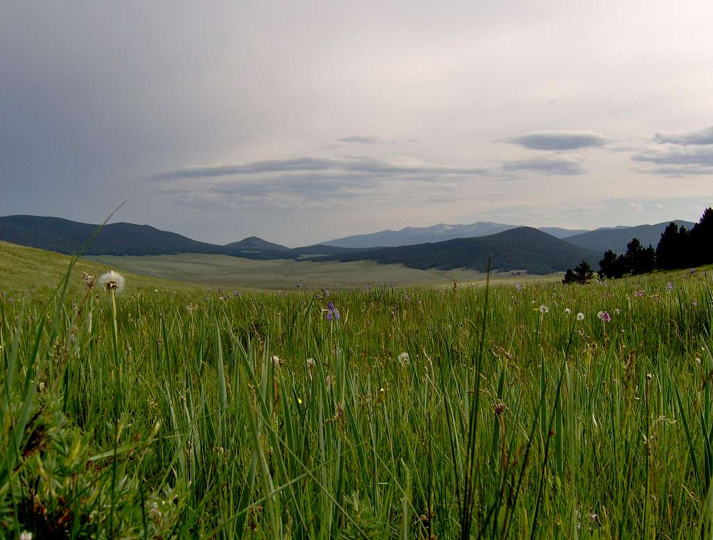 Awesome Meadow with Wheeler Peak in the background, the Valle Vidal, New Mexico