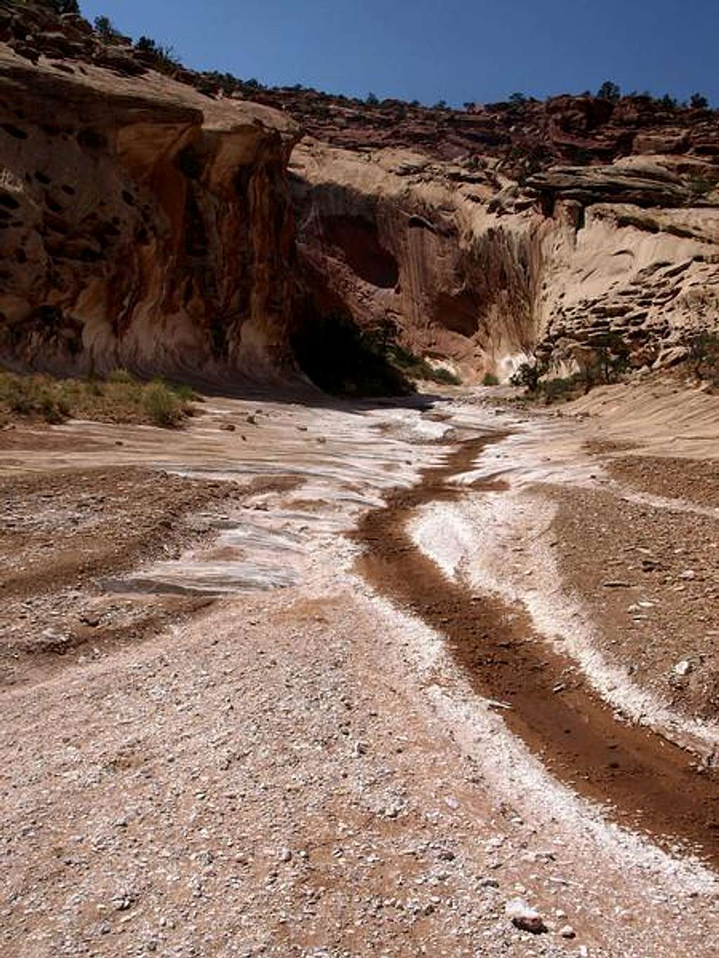 interesting tributary near the bottom of the canyon