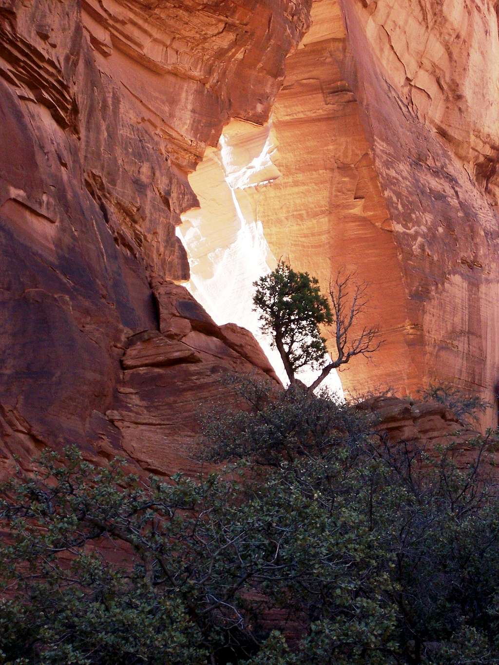 Approaching Window Rock, Late Afternoon