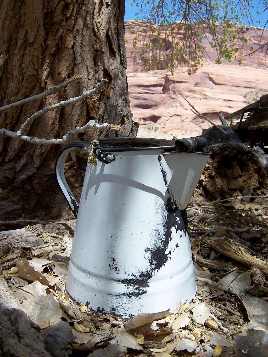 Old Pitcher, Canyon de Chelly