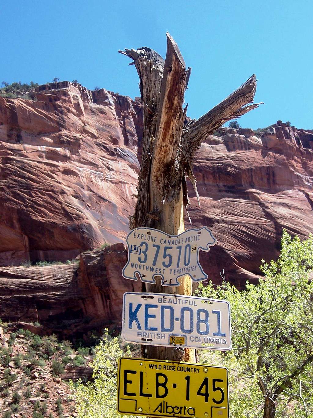 License plates on a post, Canyon de Chelly