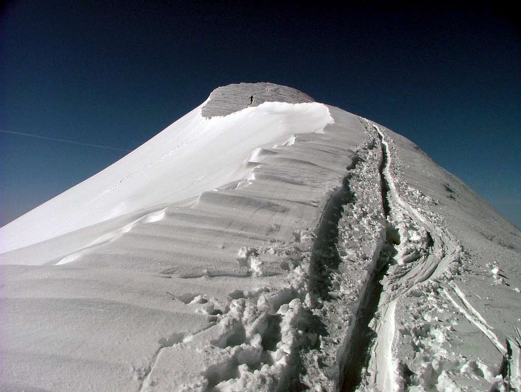 Cevedale summit ridge