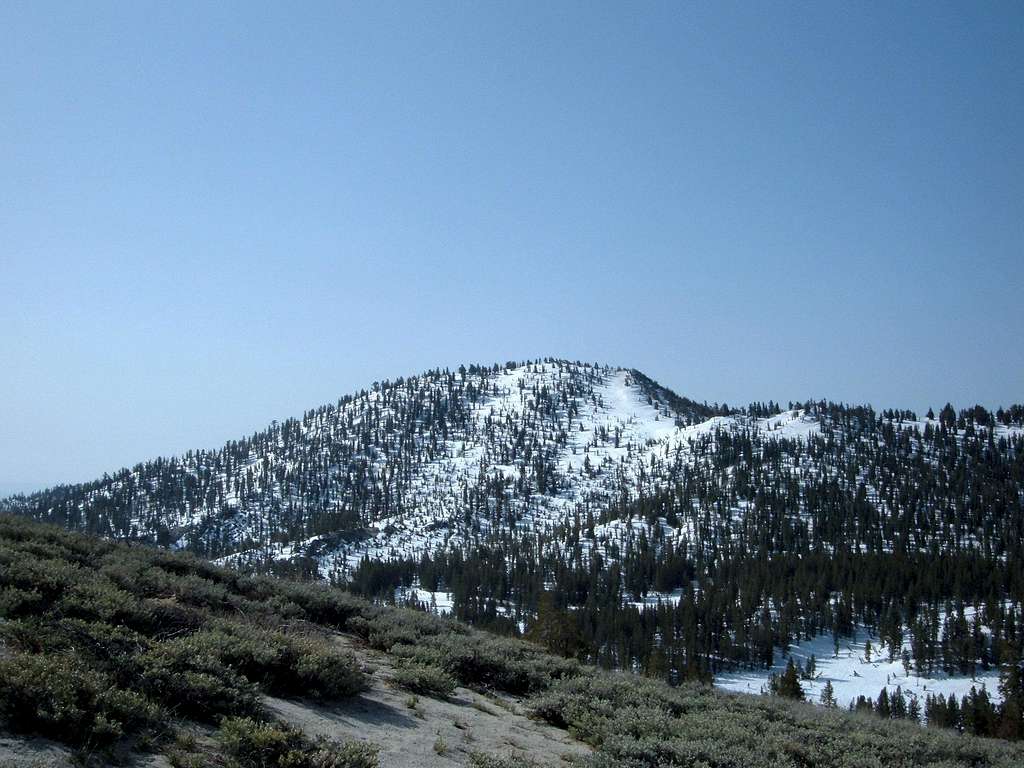 Peak 9225 in Spring